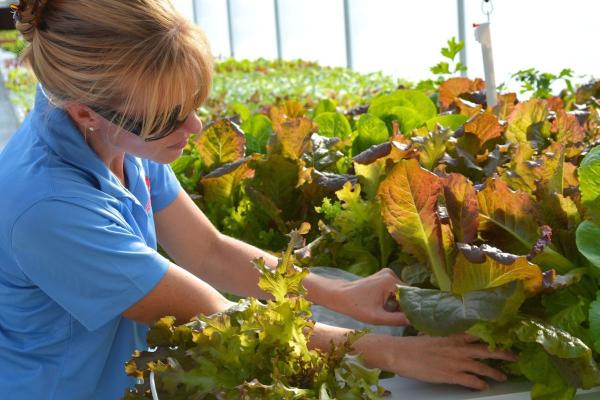 Red Acres Hydroponics